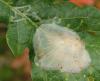 220652 – Photo : Catherine Reymonet-Smitten – France (19)